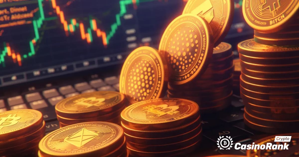 Market Update: BNB and ADA Show Positive Price Movements